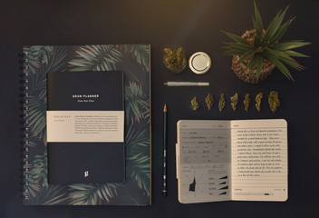 Top down view of cannabis buds, notebooks, stationery and plant