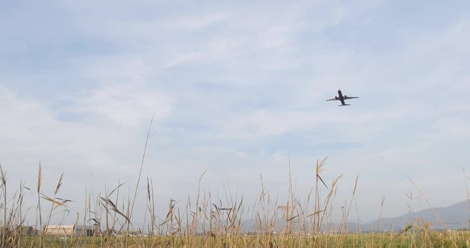 aereo in decollo visto da dietro le siepi