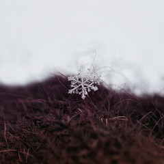 small beautiful iridescent snowflake on warm knitted wool fabric in winter sunny day