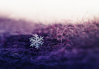 small beautiful shiny snowflake dropped on a warm lilac knitted wool fabric