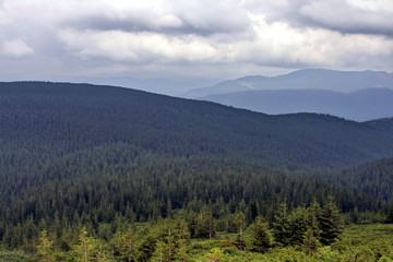 Fototapeta na wymiar Clouds and fog over Carpathian mountains