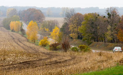 Fototapeta premium Road with cars between autumn trees and harvested fields. Misty autumn landscape.