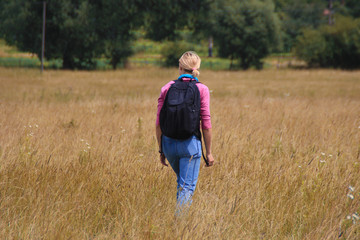 Naklejka na ściany i meble A girl with a backpack walks in the field with dogs. summer in the country field
