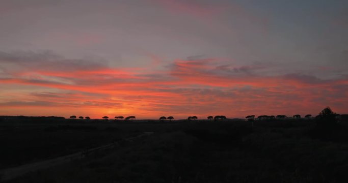 Tramonto rosso fuoco dietro delle siepi