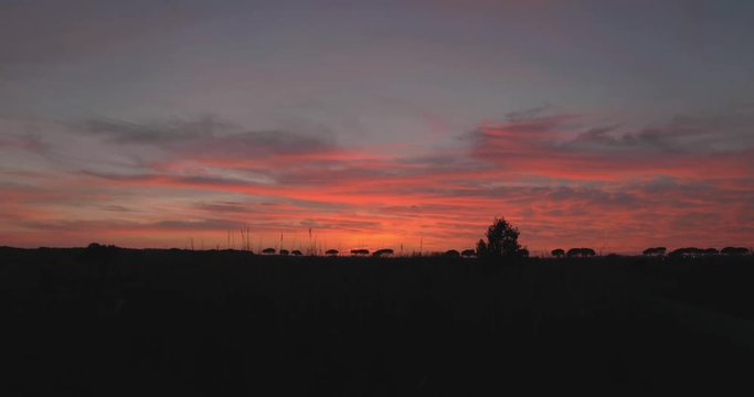 Tramonto rosso fuoco dietro delle siepi
