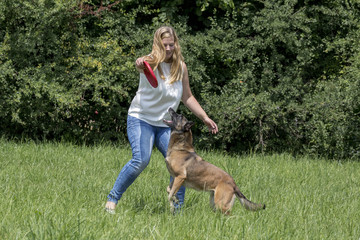 Hund spielt mit Frisbee