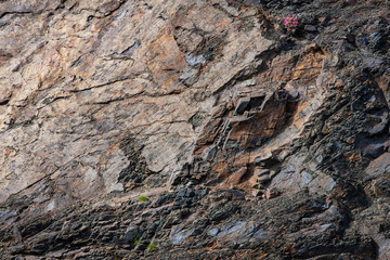 rocky surface as natural abstract texture background