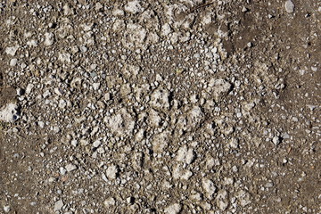 soil