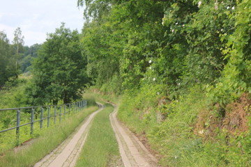 Fototapeta na wymiar Wanderweg Traben-Trarbach - Bernkastel 