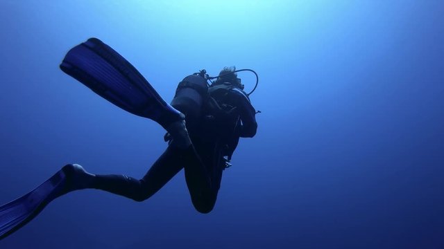 divers in french Polynesia