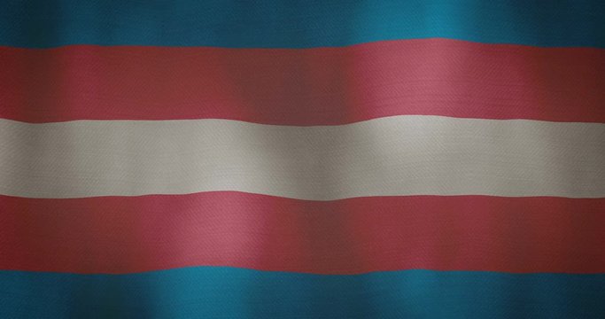 transgender flag fabric texture waving in the wind.