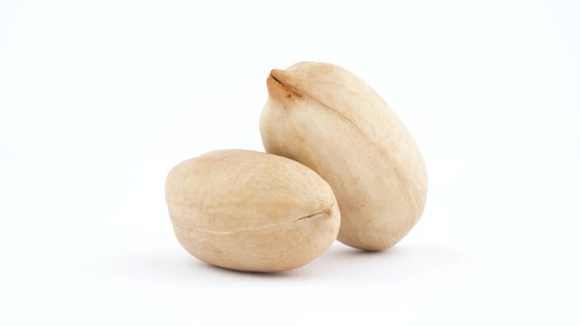 Two pecan nuts in a shell. Rotating on the turntable isolated on the white background. Close up. Macro.