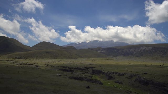 Looking towards Cotopaxi Volcano, Ecuador from the El Salitre Archaeological site with many animals grazing on the paramo. The hummocks in mid distance are volcanic debris avalanche deposits.