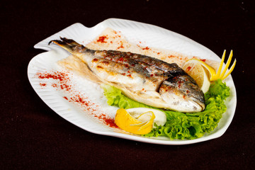 Grilled dorada fish