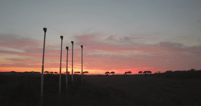 Tramonto rosso fuoco dietro delle siepi