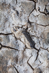 Footprint on the ground