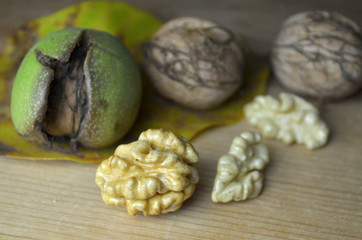 Fresh Walnut autumn time