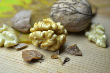 Fresh Walnut autumn time
