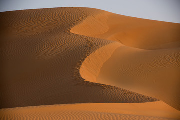 Sand dunes in Abu Dhabi
