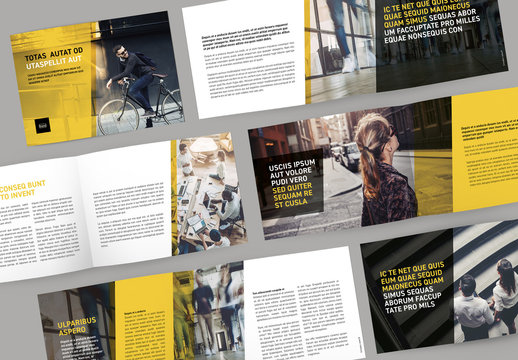 Business Brochure Layout with Yellow Accents