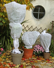 Voile d'hivernage sur plantes en pots