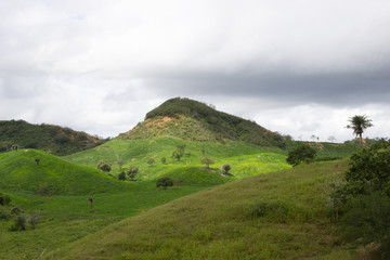 Brazil landscape