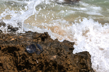 Black male sunglasses on a tropical rock with water and splashes in the background.