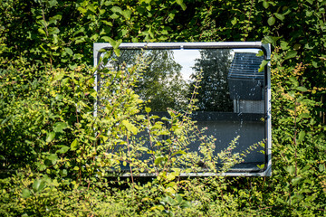 Zugewachsener Verkehrsspiegel