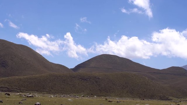 Hummocky ground at the base of Cotopaxi Volcano in the Ecuadorian Andes. The hummocks are volcanic debris avalanche deposits.