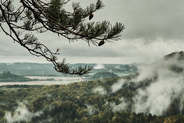 Misty rainy morning landscape with the sand rocky montains in Bohemian Saxon Switzerland in autumn colors