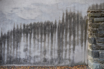 Feuchte Wand