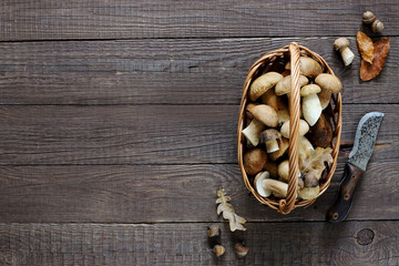 Organic porcini mushroom. Seasonal forest mushroom, Italian and spices.