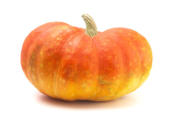 A Red and Yellow Fairytale Pumpkin on a White Background
