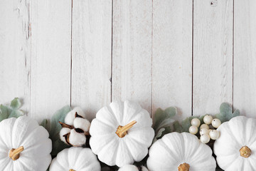 Autumn bottom border of white pumpkins and silver leaves over a rustic white wood background