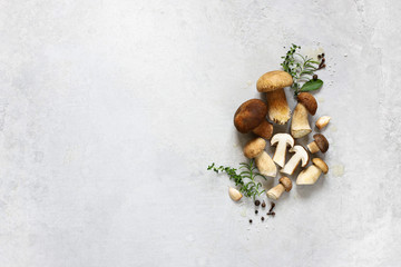 Organic porcini mushroom. Seasonal forest mushroom, Italian and spices. - obrazy, fototapety, plakaty