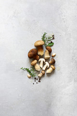 Organic porcini mushroom. Seasonal forest mushroom, Italian and spices.