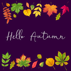 Autumn background realistic fall leaf