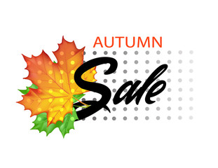 Naklejka premium Autumn sale banner fall realistic leaf