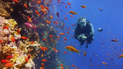 Man scuba diver with outdoor camera near beautiful coral reef with red fish