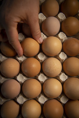 Brown eggs in carton box, Broken egg with yolk in background