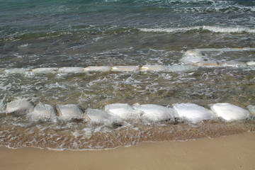 Sandbags on a coast of southern Italy to combat desertification