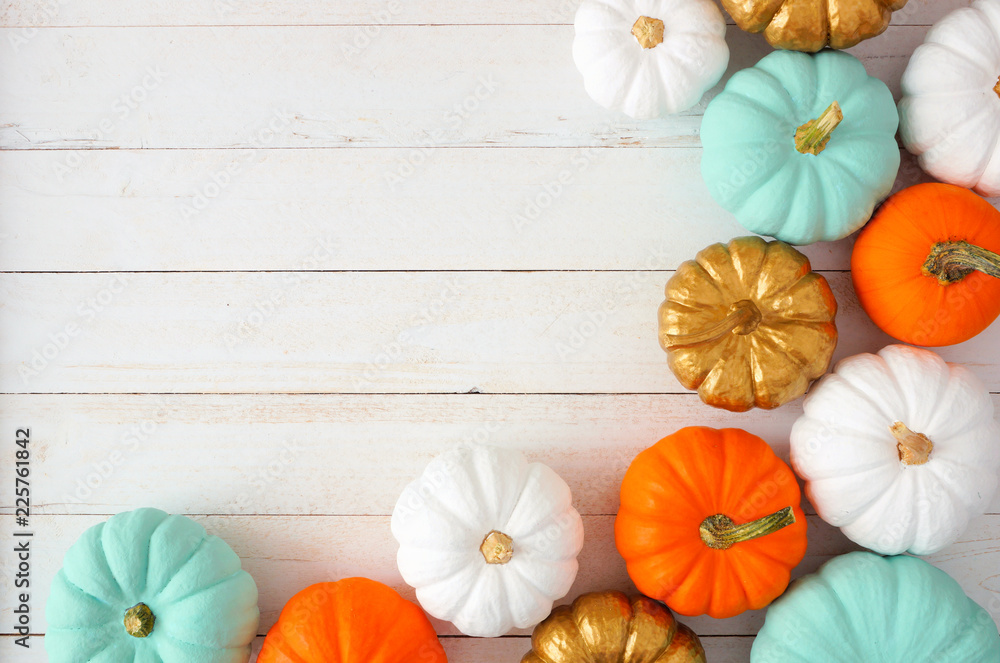 Poster autumn corner border of various colorful pumpkins on a white wood background. top view with copy spa