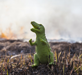 Dinosaur model in the burning field