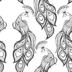 Seamless pattern with peacocks on white background. Monochrome vector  hand-drawn illustration.
