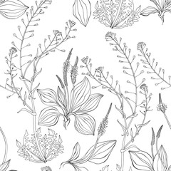 Seamless pattern with shepherd's purse and plantain. Monochrome vector illustration on a white background.