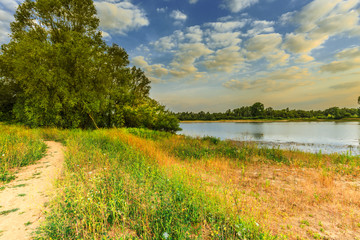 Fototapeta na wymiar Shore with dead rapeseed plants along extension overflow basin along river Maas in nature reserve Millingerwaard in the Dutch province of Gelderland against blue sky with clouds