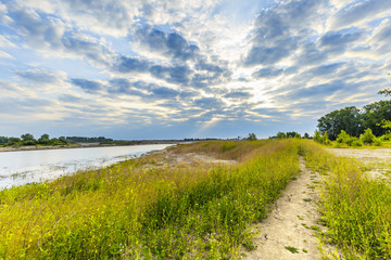 Fototapeta premium Shore with dead rapeseed plants along extension overflow basin along river Maas in nature reserve Millingerwaard in the Dutch province of Gelderland against blue sky with clouds