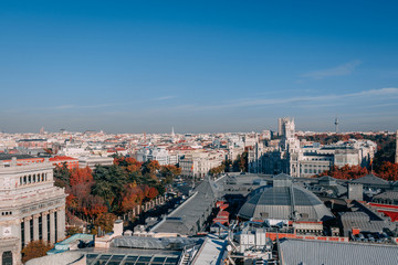 Fototapeta premium View of the city from above