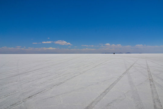 Huellas De Camioneta En El Salar