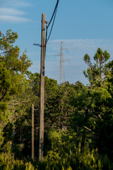 Obraz premium Strommast